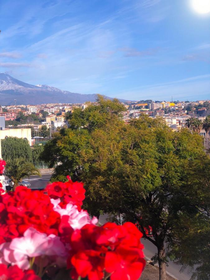 Policlinico Gaspare Rodolico Bed & Breakfast *