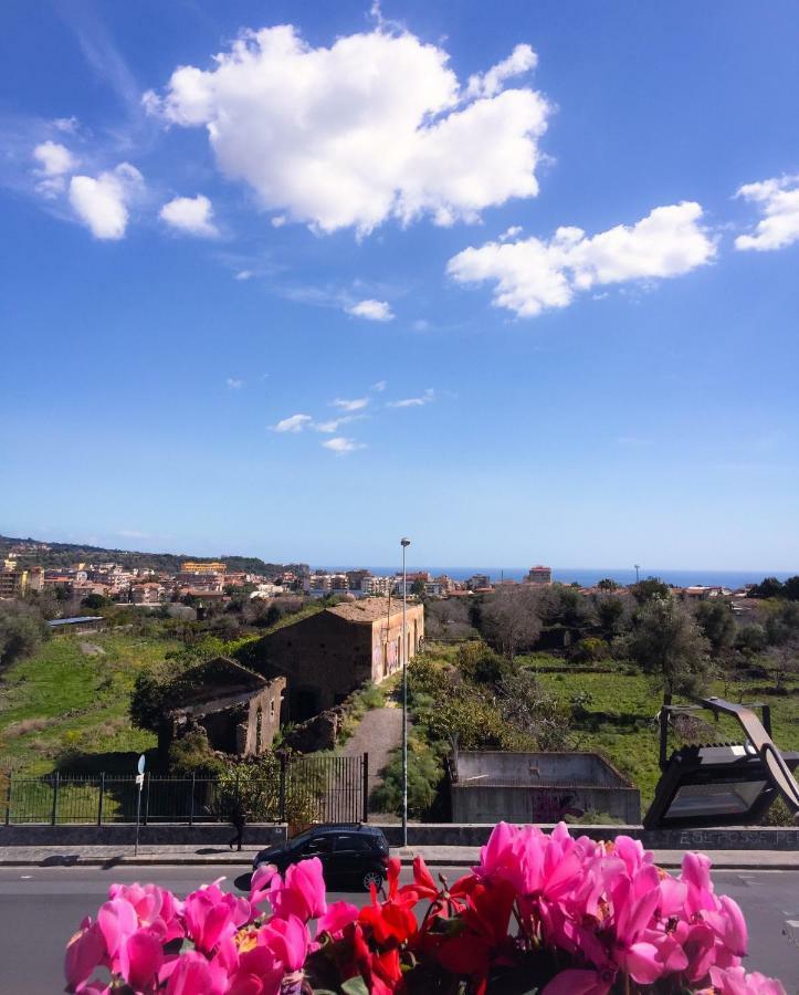 Bed & Breakfast Policlinico Gaspare Rodolico *