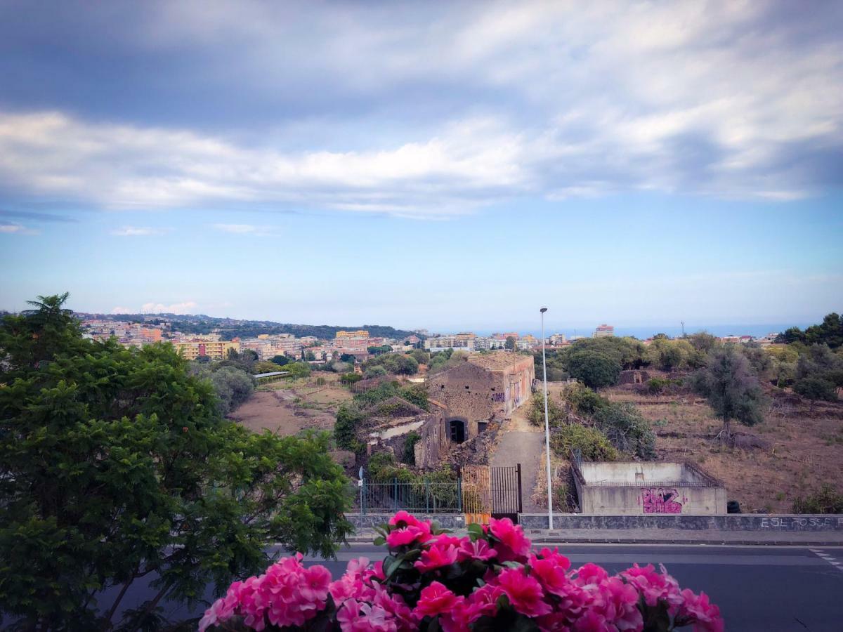 Bed & Breakfast Policlinico Gaspare Rodolico